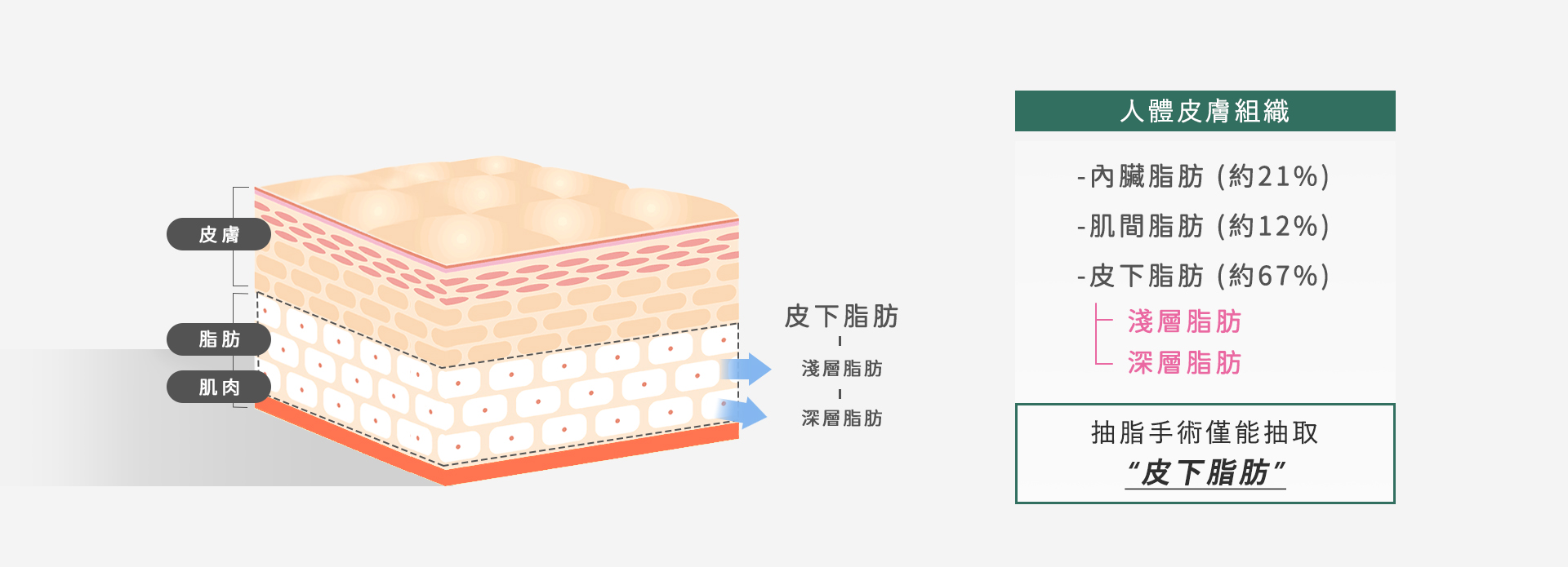桃園抽脂手術_永恆醫美